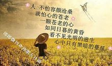 感悟工作的经典句子