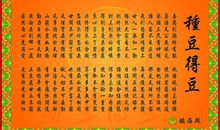 关于班级的优美句子