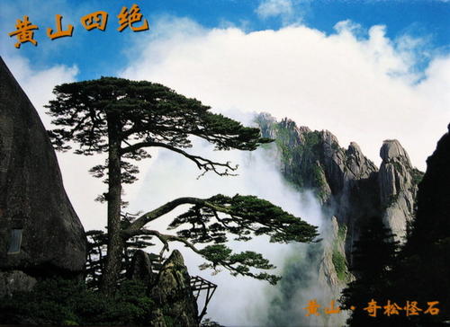 描述黄山的句子