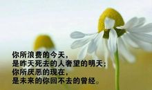 每天一条正能量