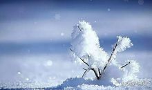 描述雪花的诗句