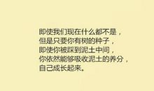 八个字的励志句子