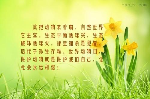 描述自然的奇妙句子