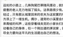 描写团结的段落
