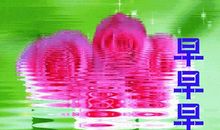 美好祝福语大全