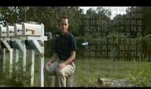 阿甘正传的经典句子