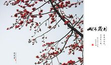 山河岁月经典句子