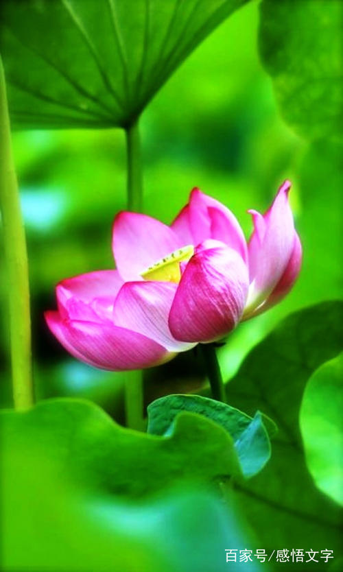 描述突然醒来的句子