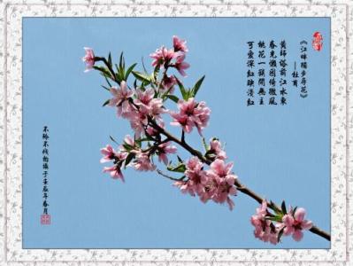 关于桃花的一段