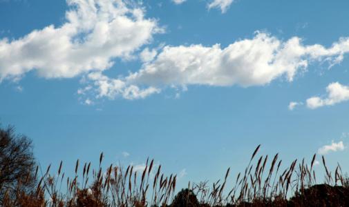 描述晴天的句子