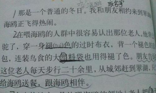 有关动作描述的句子