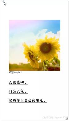 描写生命之美的诗