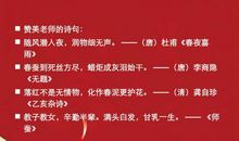 感恩老师的优美句子