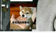 情侣吵架后道歉短信