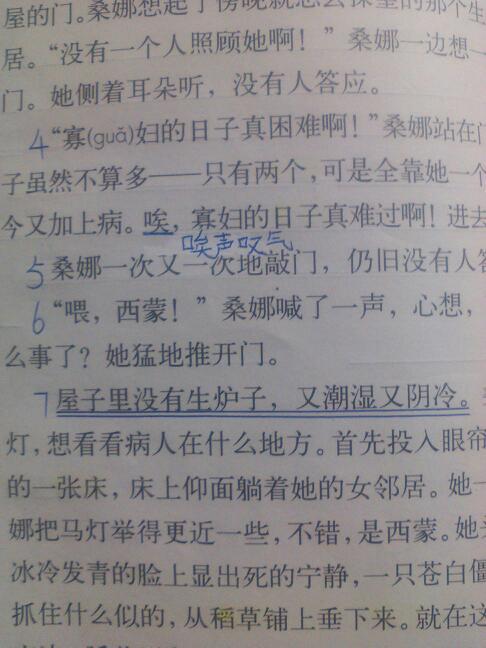 关于环境描述的句子