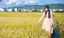 让心情舒畅的句子