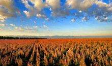 关于优美风景的诗句