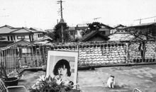 绿毛水怪经典句子