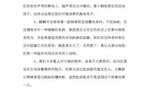 昆虫记里的优美句子