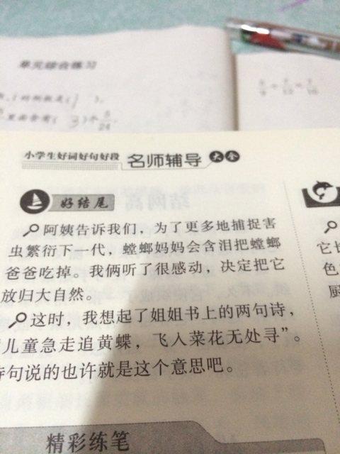 昆虫的美丽句子