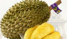 形容榴莲的句子