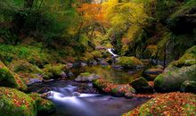 描述风景优美的句子