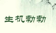 八个字的成语解释