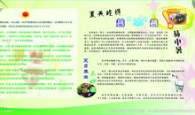 夏季养生短信大全