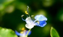 苦尽甘来经典句子