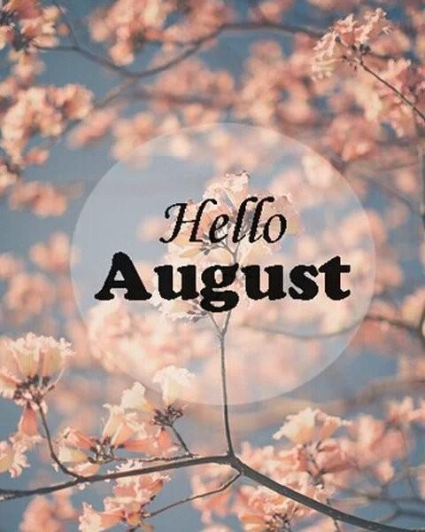 描述八月的句子