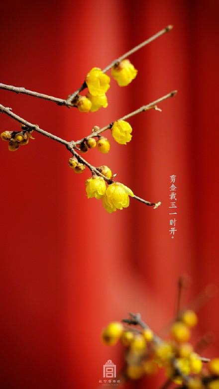 新年和新的天气句子