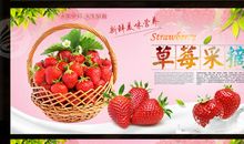 草莓广告标语