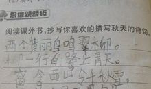 描绘冬天的句子