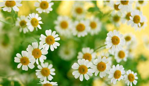 经典奋斗励志句子2