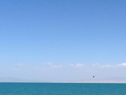 开放的人生座右铭