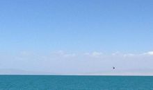 心胸开阔的人生格言