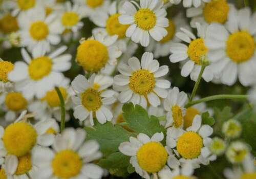 努力成为优秀句子的女孩励志性谈论女孩变得优秀1