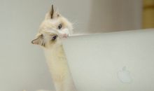 女孩子努力优秀的句子 女生变优秀的励志说说