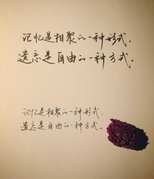 描述婚礼的美丽句子