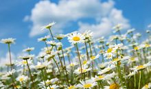 经典奋斗励志的句子