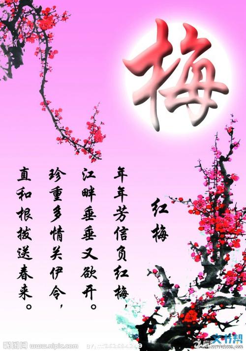 念雪有哪些经文