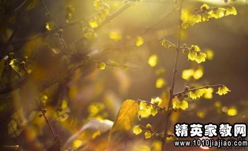 邱瑜的漂亮句子