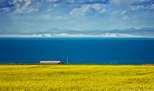 大草原风景的句子