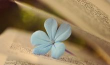 安慰人离婚的话语