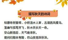 秋天好词好句大全