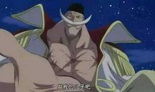 白胡子经典语录