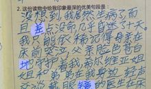 关于妈妈的爱的好词好句