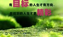 满满正能量的句子佛教