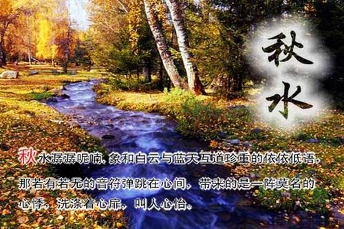 秋天感伤的句子