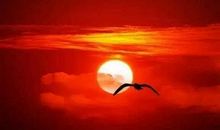 描写黄昏的段落